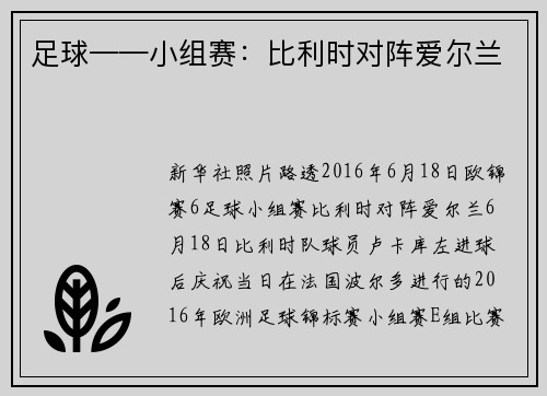 足球——小组赛：比利时对阵爱尔兰