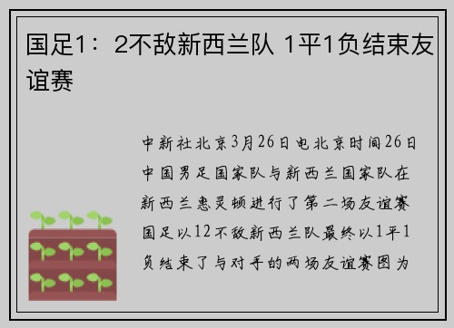 国足1：2不敌新西兰队 1平1负结束友谊赛