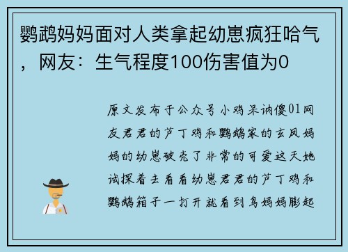鹦鹉妈妈面对人类拿起幼崽疯狂哈气，网友：生气程度100伤害值为0